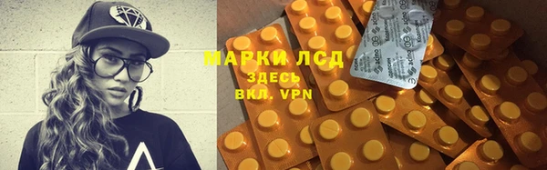 гидропоника Гусиноозёрск