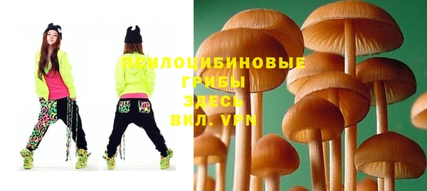 дурь Володарск