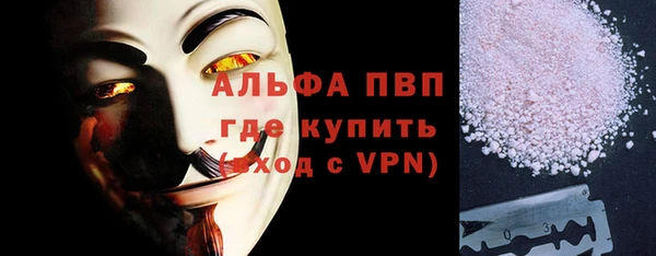 спиды Вяземский
