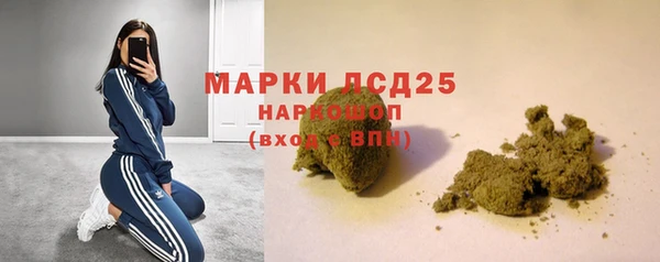гидропоника Гусиноозёрск