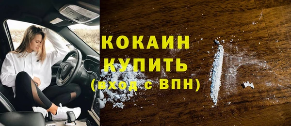 гидропоника Гусиноозёрск