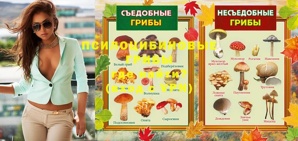 спиды Вяземский