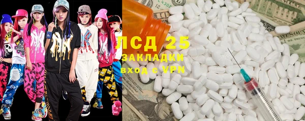 спиды Вяземский