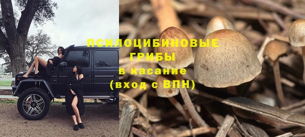 ПСИЛОЦИБИНОВЫЕ ГРИБЫ Тихорецк