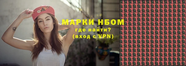 спиды Вяземский