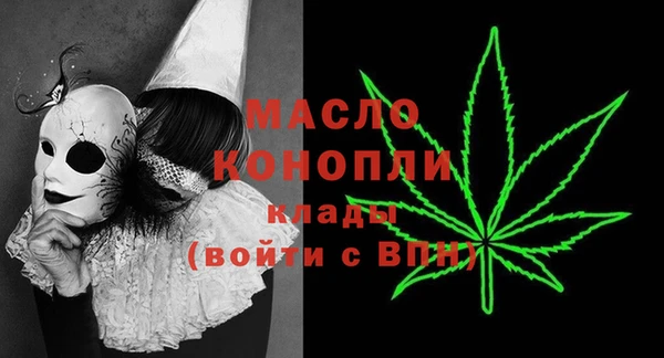 спиды Вяземский