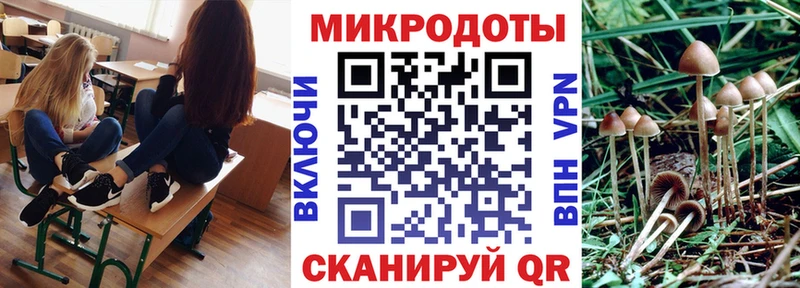 Галлюциногенные грибы мухоморы  hydra ссылка  Дальнереченск 